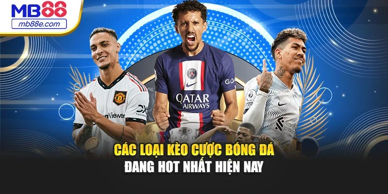 Các loại kèo cược bóng đá đang hot nhất hiện nay