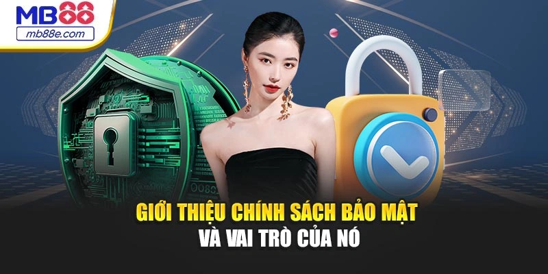 Giới thiệu chính sách bảo mật và vai trò của nó