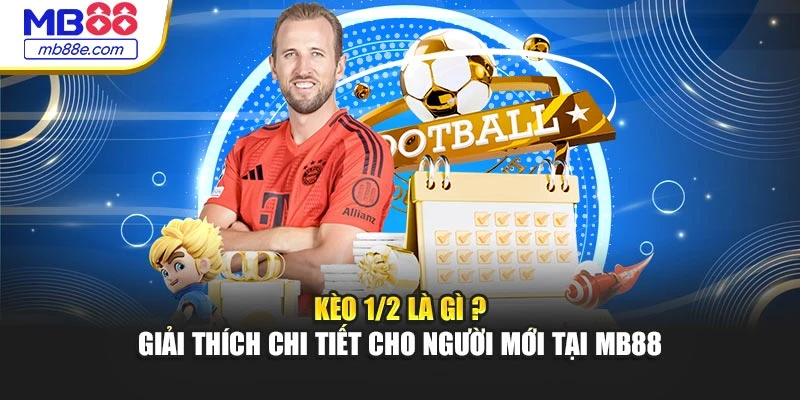Kèo 1/2 Là Gì ? Giải Thích Chi Tiết Cho Người Mới Tại MB88