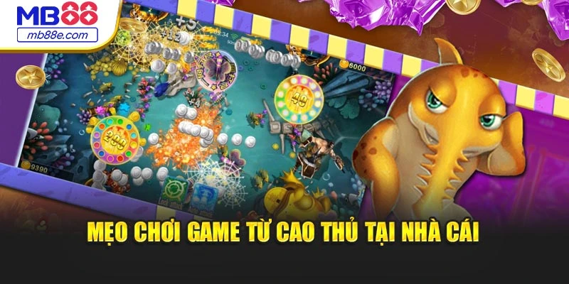 Mẹo chơi game từ cao thủ tại nhà cái