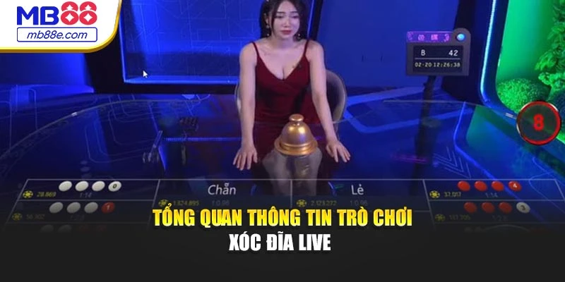 Tổng quan thông tin trò chơi xóc đĩa live 