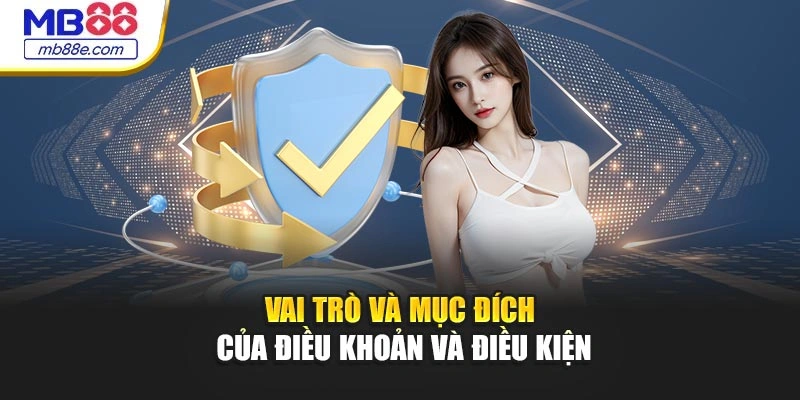 Vai trò và mục đích của điều khoản và điều kiện
