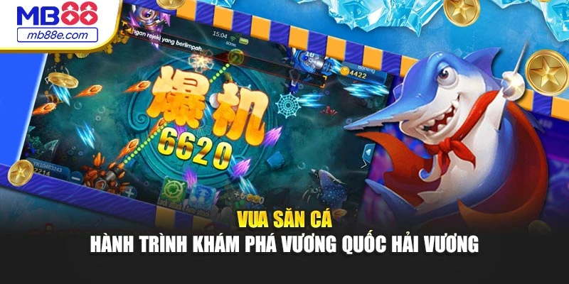 Vua Săn Cá – Hành Trình Khám Phá Vương Quốc Hải Vương